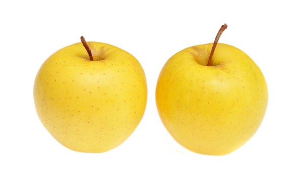 Jabłoń Kosztela - opis, charakterystyka i uprawa odmiany