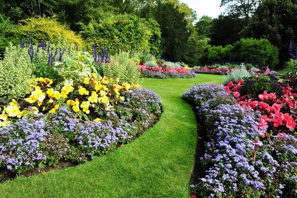 Barwne rabaty kwiatowe w ogrodzie - galeria zdjęć