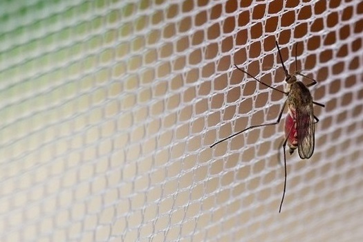 Moskitiery - skuteczna ochrona przed owadami