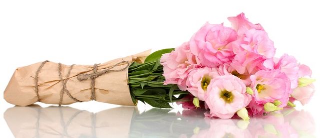 Eustoma różowa