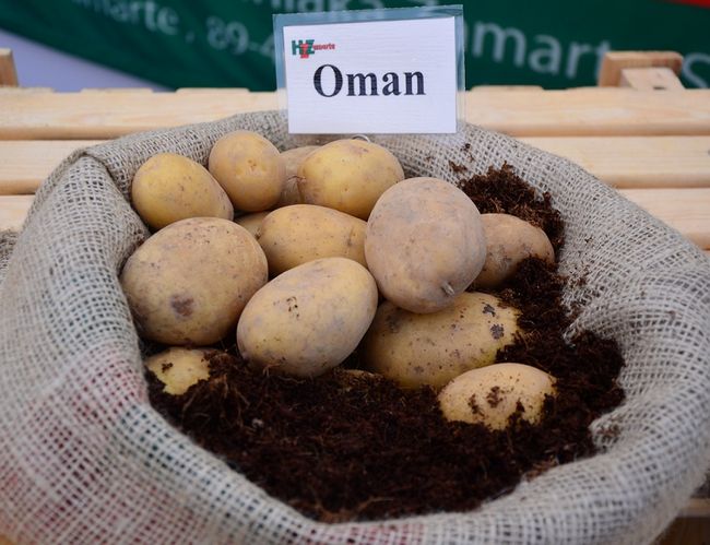 Ziemniaki Oman