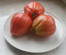 Pomidory Bawole Serce