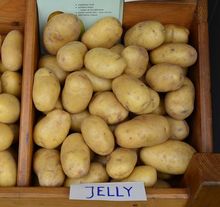 Ziemniaki Jelly