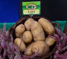 Ziemniaki Lord