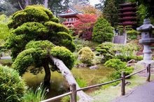 Ogród w Japonii