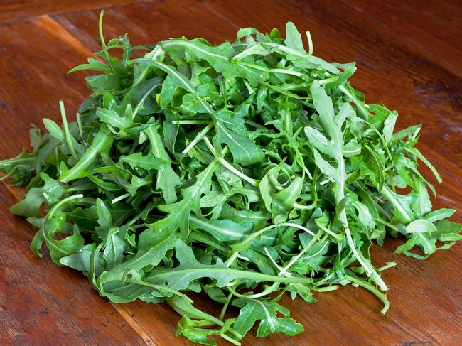 Rukola