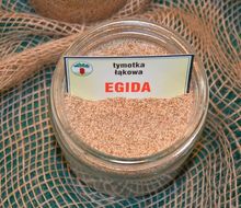 Nasiona tymotki łąkowej - odmiana Egida