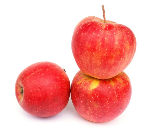 Jabłoń Szampion - popularna odmiana wczesnozimowa