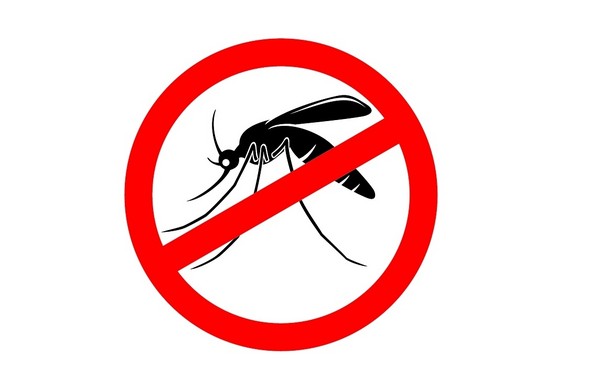 Nie możesz poradzić sobie z komarami? Sprawdź!