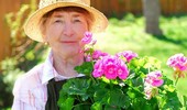 Pelargonie - rodzaje i odmiany