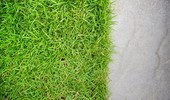 Piaskowanie trawnika - ważny zabieg pielęgnacyjny