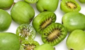 Aktinidia (mini kiwi) ostrolistna i pstrolistna