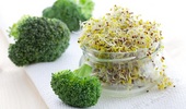 Nasiona na kiełki - zdrowie w czystej postaci