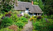 Ogród naturalistyczny - dobór roślin, pielęgnacja, architektura