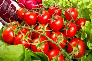 Uprawa pomidorów koktajlowych z sukcesem