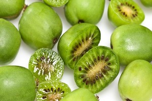 Aktinidia (mini kiwi) ostrolistna i pstrolistna