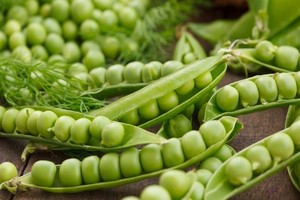 Nasiona ekologiczne - warte uwagi?